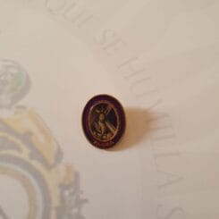 Pin Morado Nazareno de las Torres